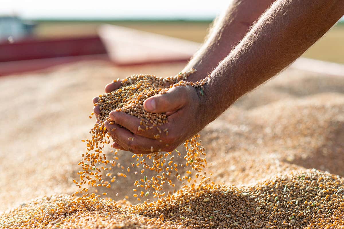 Artigianale deve descrivere un processo, non un’emozione