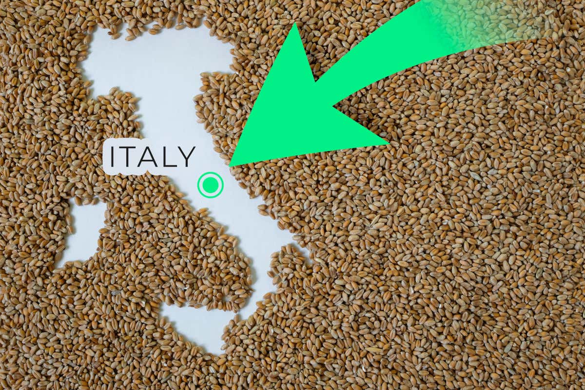 La filiera dei cereali è una delle più esposte e l'Italia è un Paese importatore netto di materie prime agricole