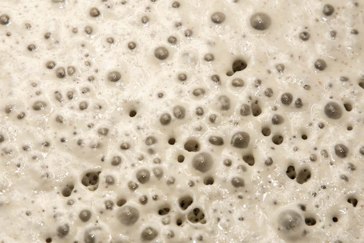 La lievitazione è un effetto della fermentazione, non la causa