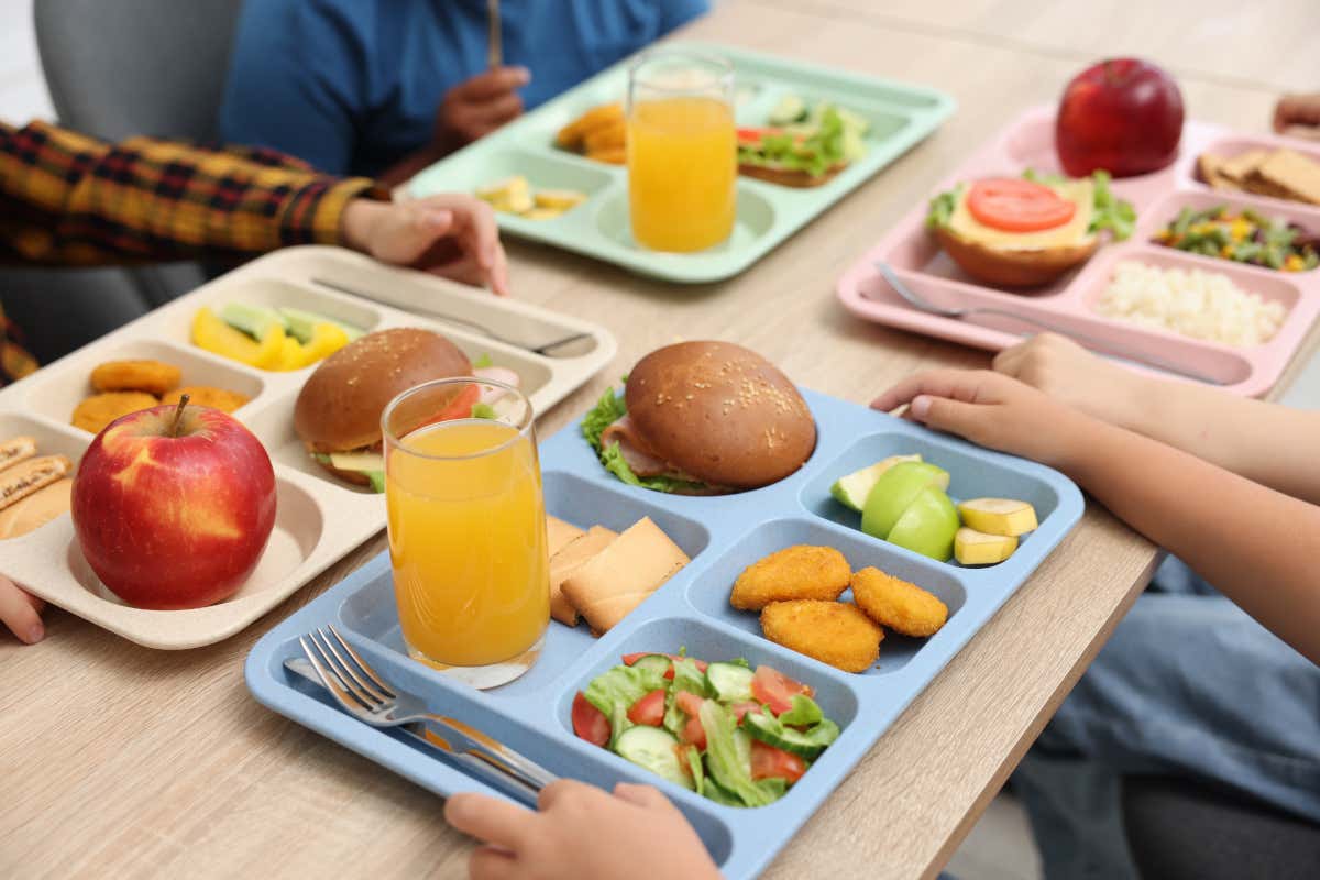 In Friuli la gara d'assegnazione dei servizi di refezione scolastica li impone a ridotto impatto ambientale