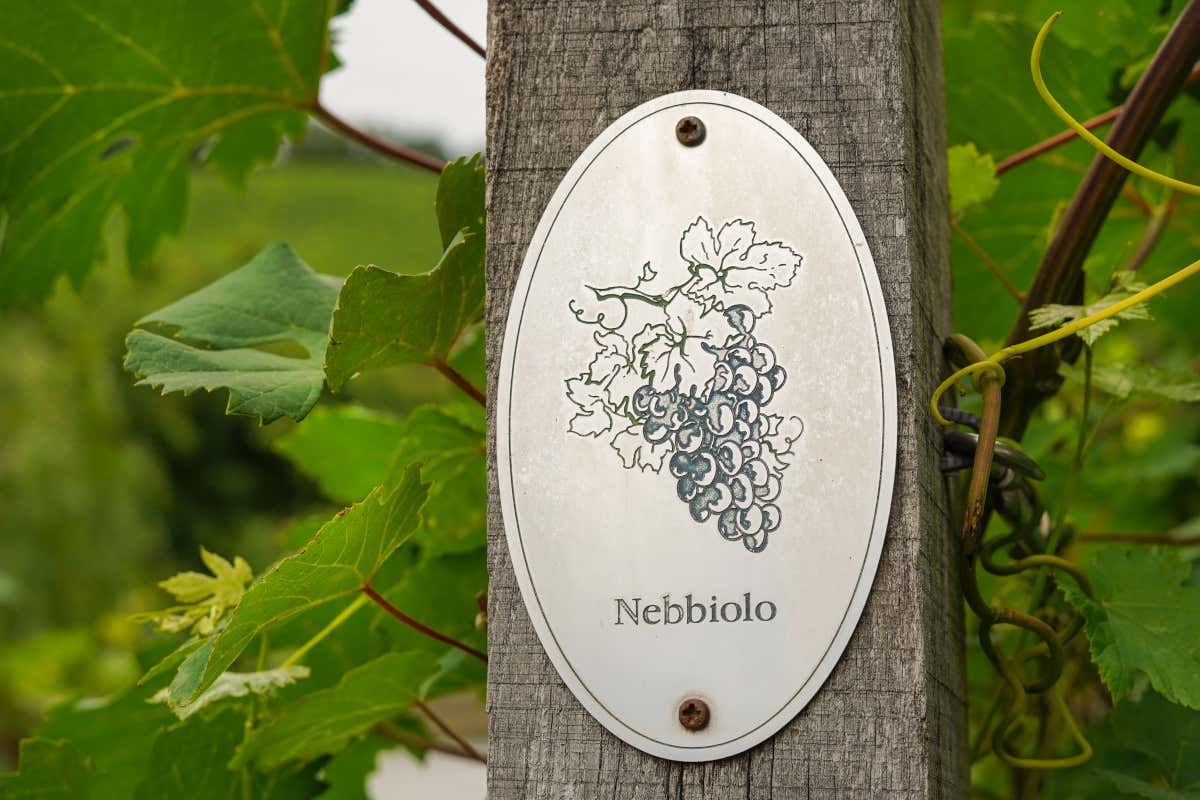 La nuova grammatica del vino d’inverno: equilibrio, profondità, misura La nuova grammatica del vino d’inverno: equilibrio, profondità, misura