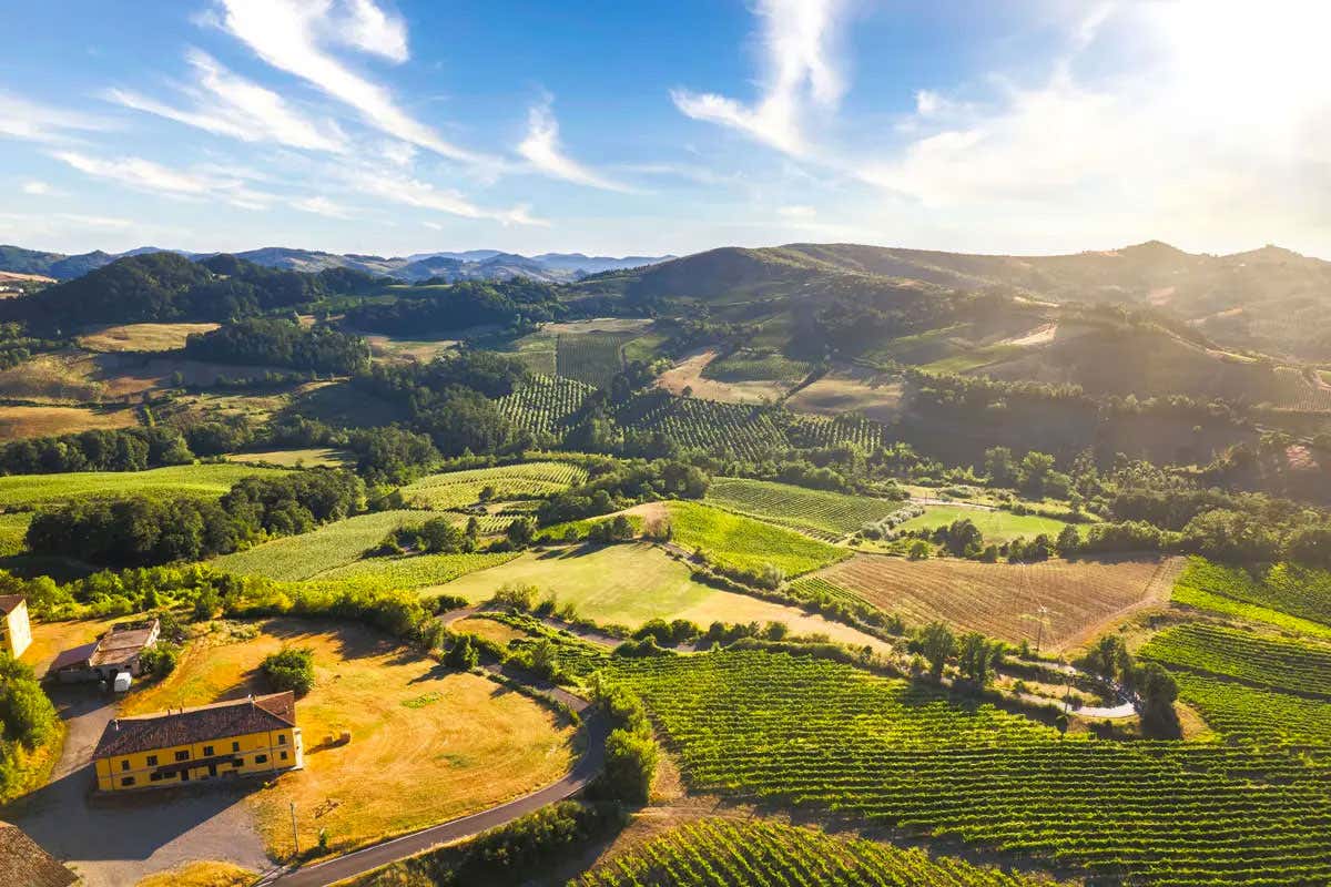 Federico Sgorbini, lo chef che racconta il gusto dell’Oltrepò nei suoi piatti Federico Sgorbini, lo chef che racconta il gusto dell’Oltrepò nei suoi piatti