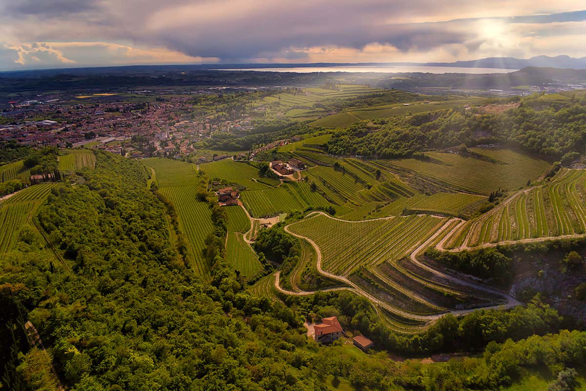 £$L’Italia del vino$£: tre grandi rossi veronesi a base di Corvina