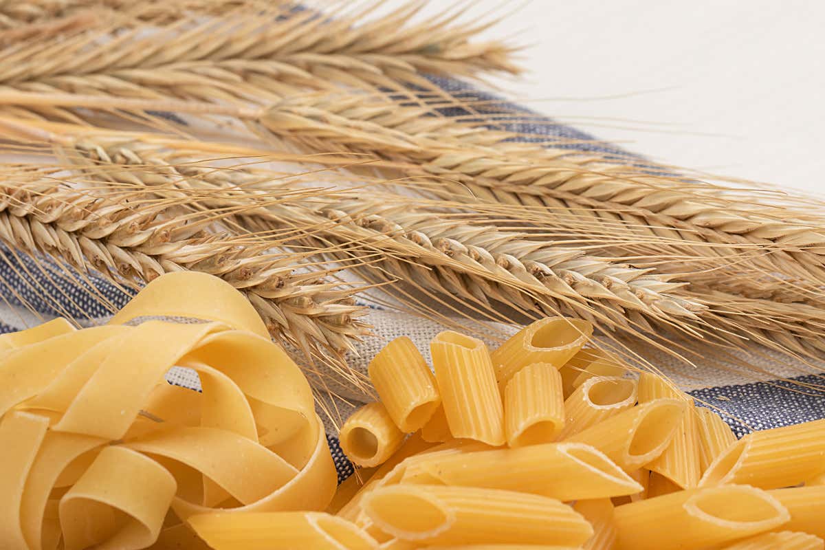 A Palermo e Catania il confronto sulla filiera del grano e della pasta siciliana A Palermo e Catania il confronto sulla filiera del grano e della pasta siciliana