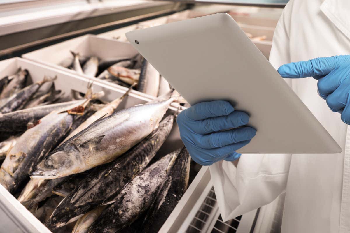 Il pesce può vincere la sfida della tracciabilità attraverso la Blockchain, dove tutto è registrato in digitale