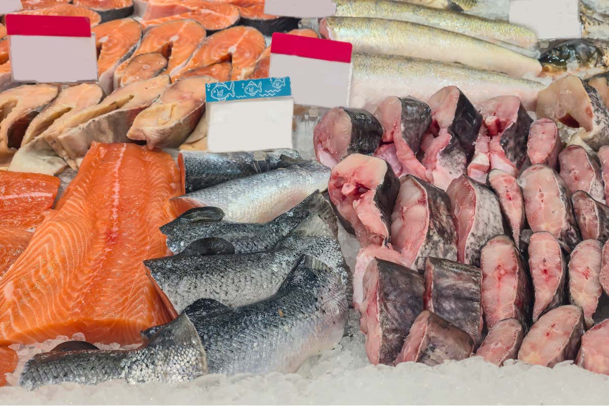 Acquacoltura, solo 19 concessioni in mare: l'Italia importa l'86% del pesce