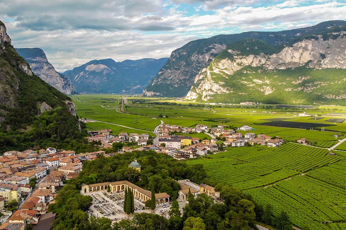 Wine Tour Gold: pranzo esclusivo tra le botti con vista sui terroir del Teroldego Rotaliano