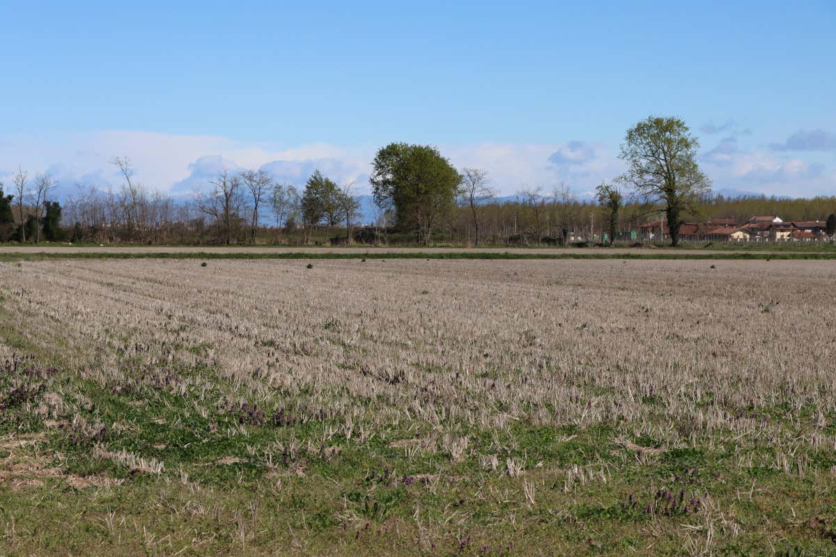Siccità, alluvioni e caldo record: risarcimenti oltre 6 milioni per il meteo pazzo