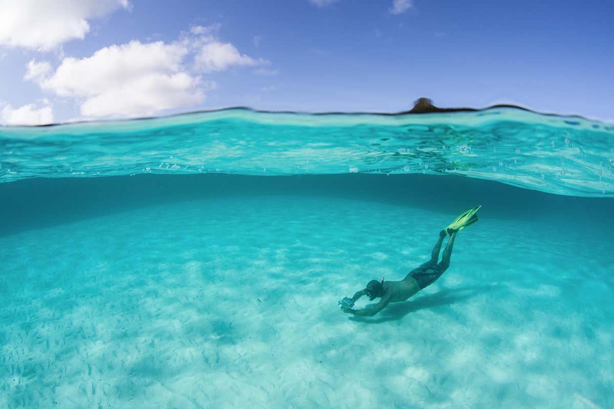 L’Area Marina Protetta delle Egadi custodisce un inestimabile scrigno di biodiversità, diventando una delle mete più affascinanti del Mediterraneo per sub e amanti dello snorkeling