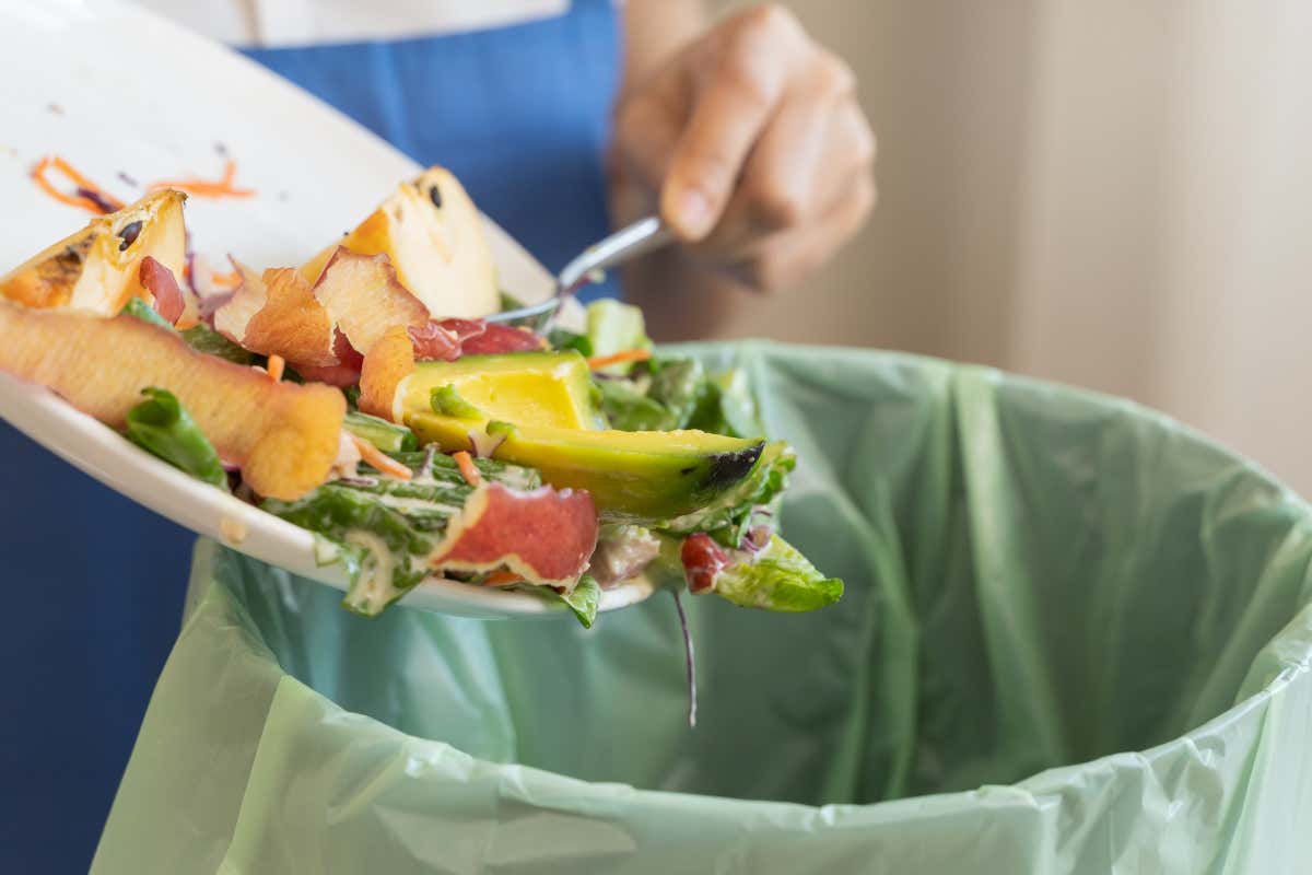 L'utilizzo di piatti pronti surgelati contribuisce a combattere lo spreco alimentare