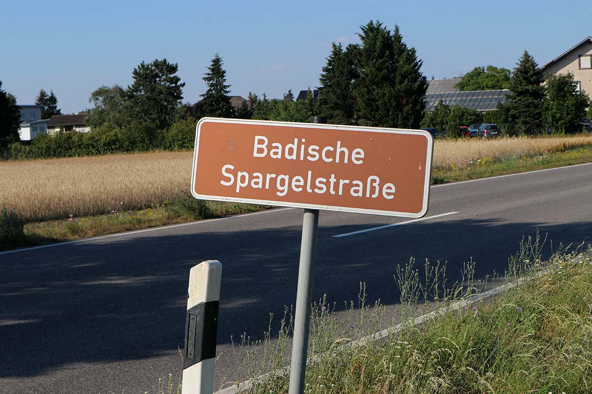 La Strada degli Asparagi del Baden attraversa vigneti e campagne, offrendo un itinerario gastronomico unico