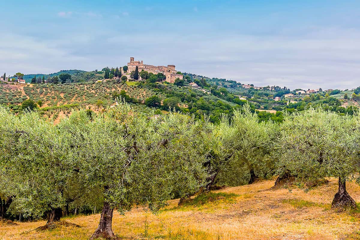 Umbria, terra dell’olio: i frantoi che resistono da secoli e innovano con il biologico