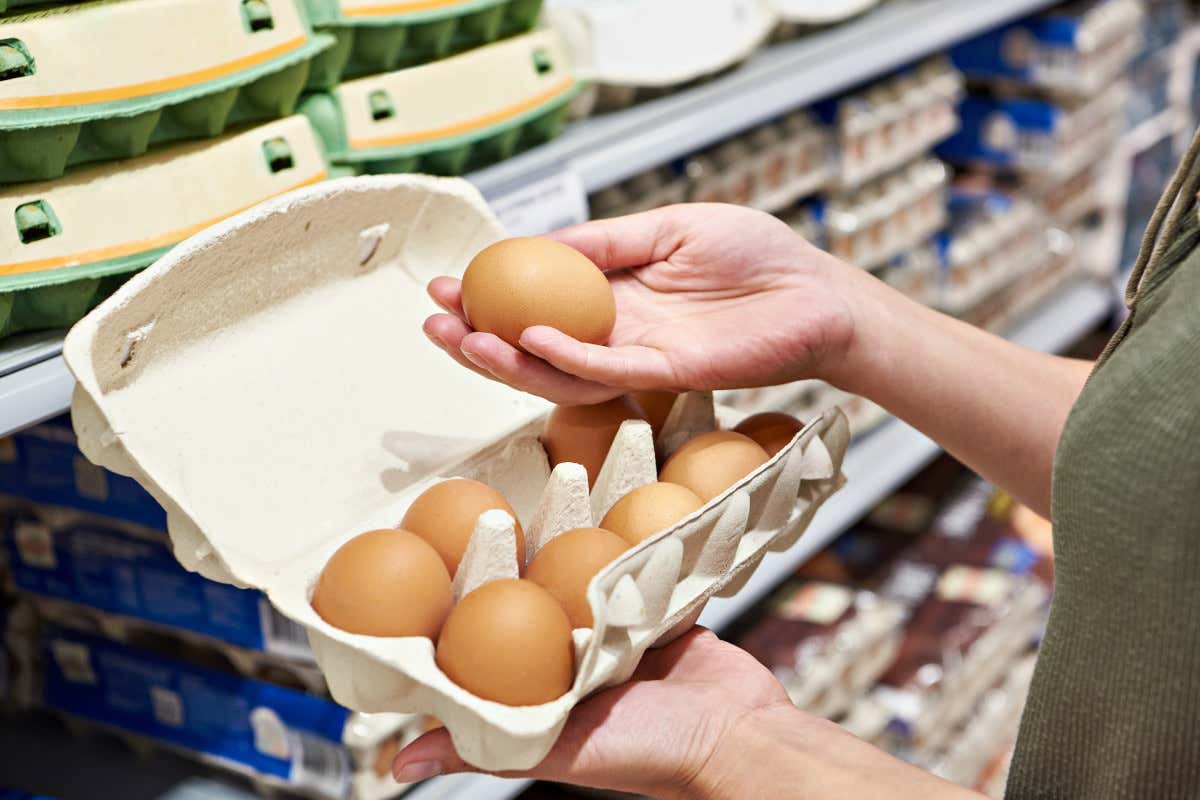 Uova, consumi in crescita e filiera più solida Le uova da allevamento a terra sono le più scelte: 7 italiani su 10 le comprano
