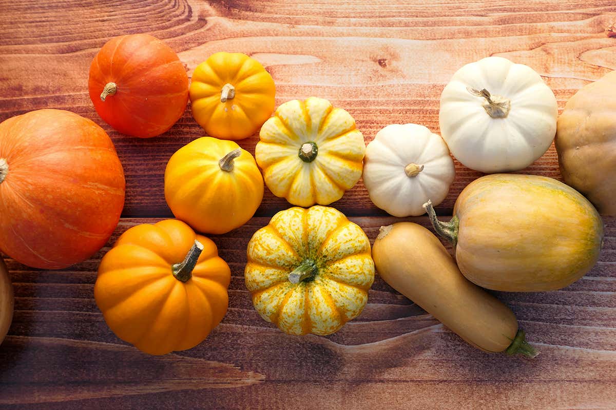 Dal pesce alla frutta e verdura di stagione: ottobre segna il ribasso dei prezzi Dal pesce alla frutta e verdura di stagione: ottobre segna il ribasso dei prezzi