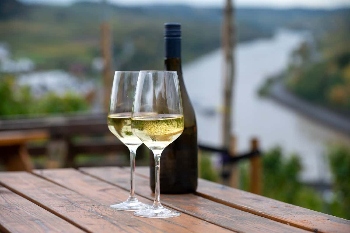 Germania, costi di produzione del vino insostenibili: le superfici vitate a rischio Germania, costi di produzione del vino insostenibili: le superfici vitate a rischio