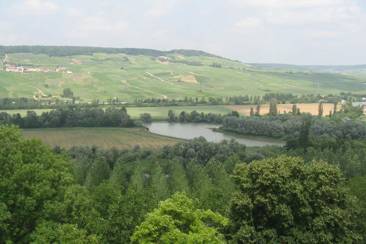 Panorama delle vigne dal cuore di Épernay