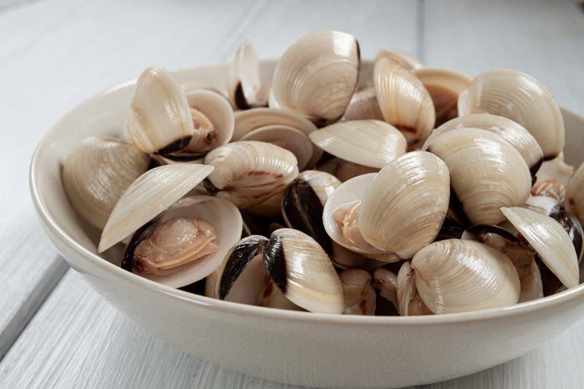 Natale, gli italiani non rinunciano al pesce anche se il prezzo crescerà del 20% Natale, gli italiani non rinunciano al pesce anche se il prezzo crescerà del 20%