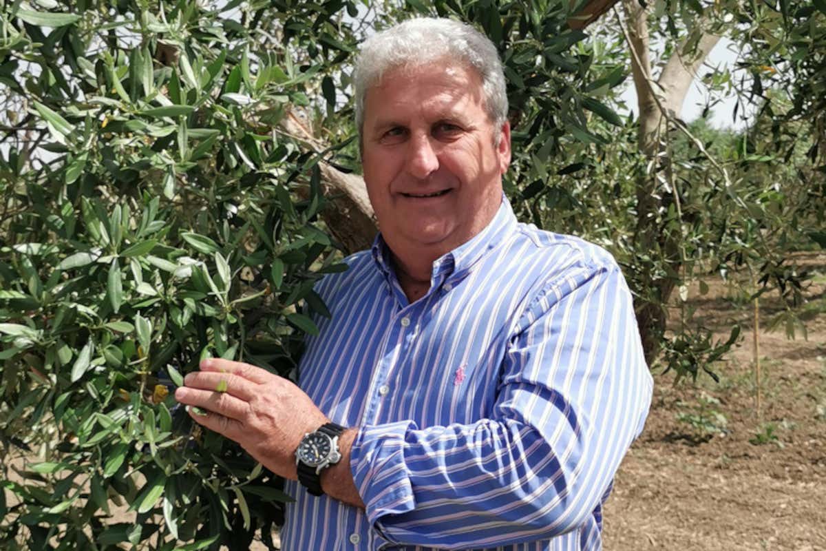 Francesco Pellegrino Erede ed Ennaro di Terre di Shemir, con qualche anno in più si è raggiunta la perfezione