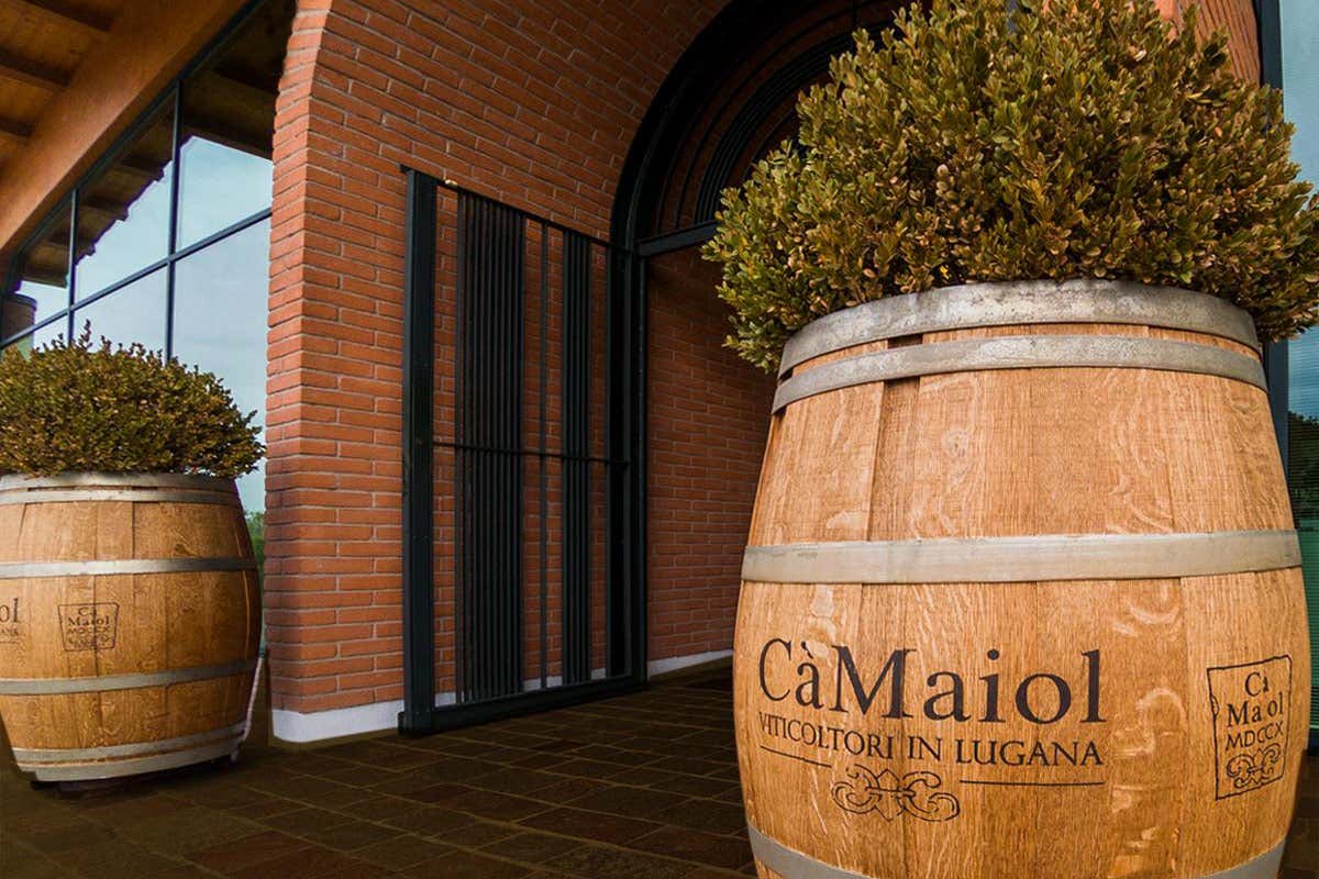 Lugana, da Cà Maiol esperienze sensoriali tra vino e natura