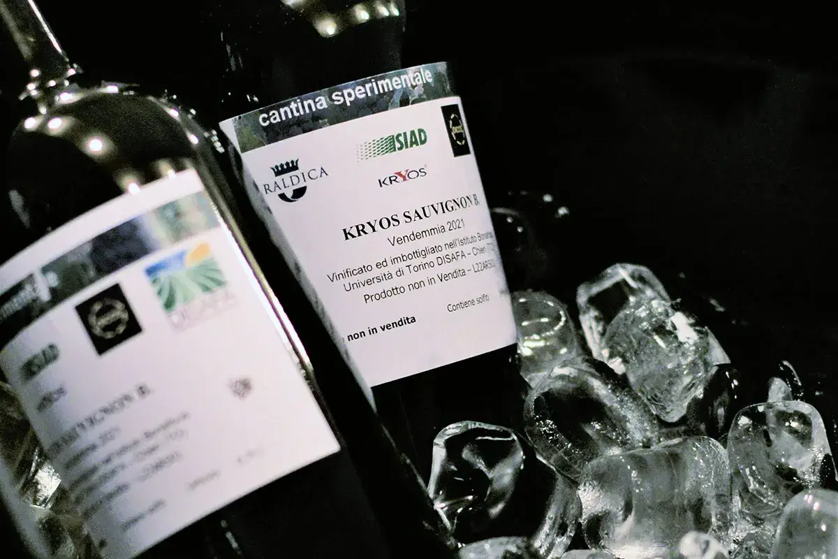 Criomacerazione e CO2, un binomio vincente per la qualità del vino