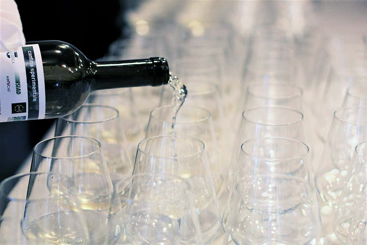 Criomacerazione e CO2, un binomio vincente per la qualità del vino