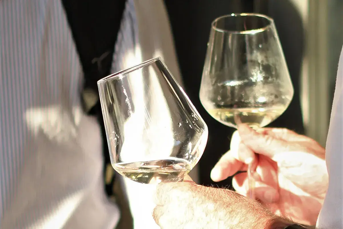 Criomacerazione e CO2, un binomio vincente per la qualità del vino