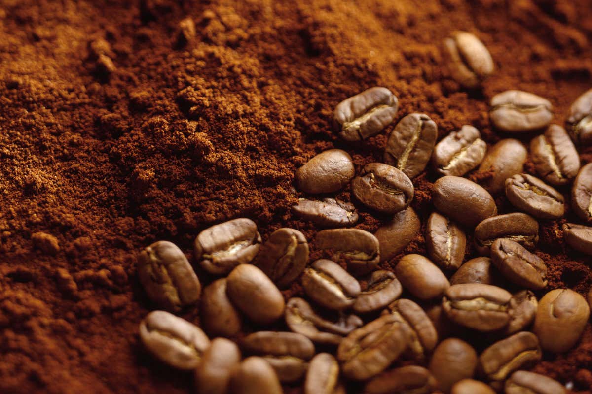 Gas alimentari e caffè: come si valorizza aroma e cremosità, le nuove frontiere Gas alimentari e caffè: come si valorizza aroma e cremosità, le nuove frontiere