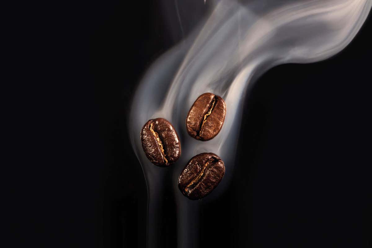 Gas alimentari e caffè: come si valorizza aroma e cremosità, le nuove frontiere Gas alimentari e caffè: come si valorizza aroma e cremosità, le nuove frontiere