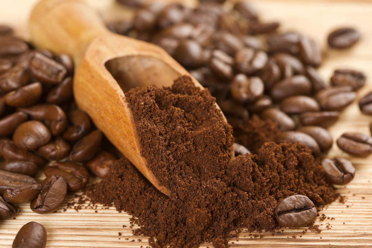 Gas alimentari e caffè: come si valorizza aroma e cremosità, le nuove frontiere Gas alimentari e caffè: come si valorizza aroma e cremosità, le nuove frontiere