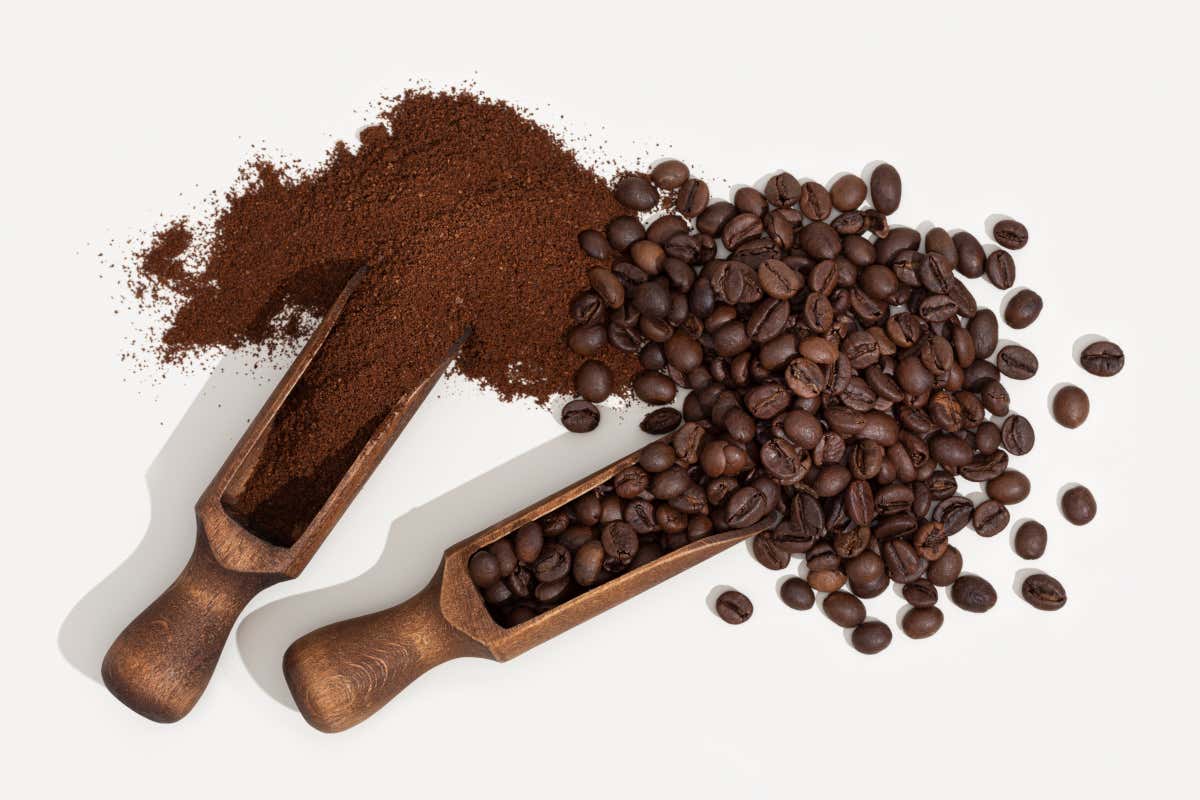 Gas alimentari e caffè: come si valorizza aroma e cremosità, le nuove frontiere Gas alimentari e caffè: come si valorizza aroma e cremosità, le nuove frontiere