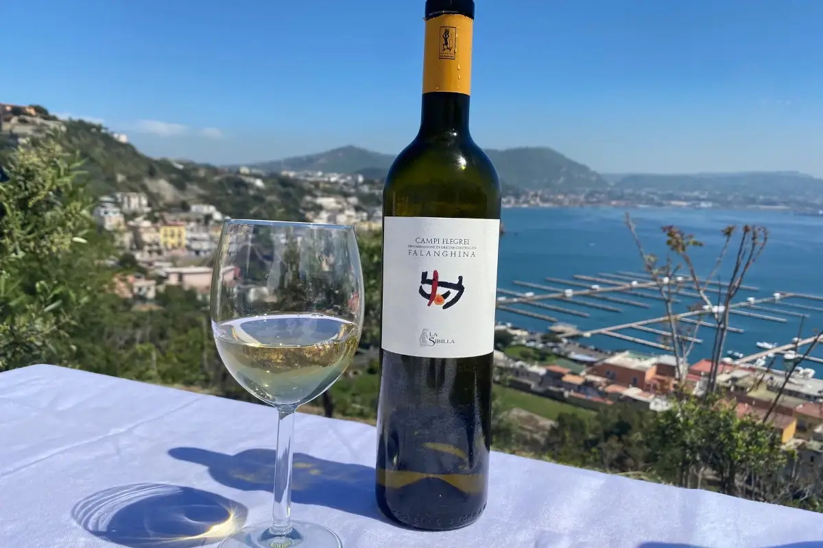 Accoppiata vino e turismo I Campi Flegrei rinascono con il vino