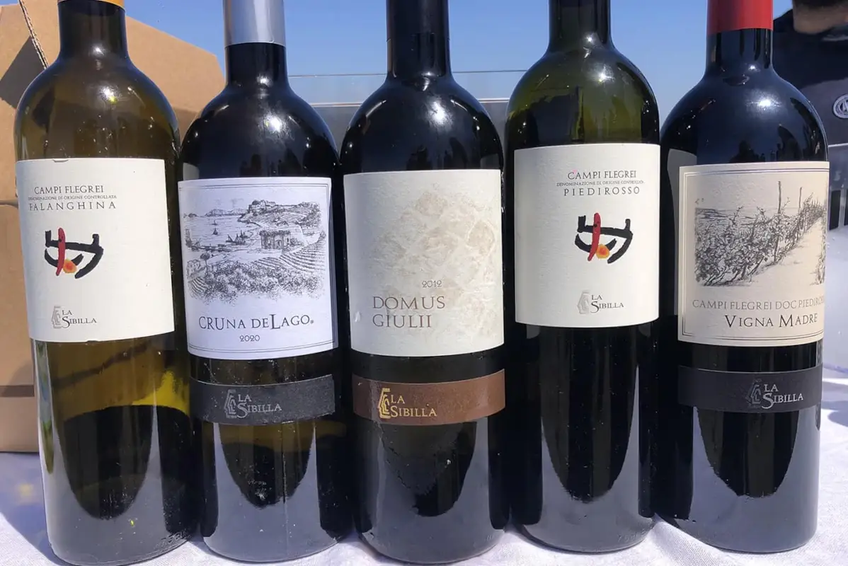 La produzione della famiglia Di Meo I Campi Flegrei rinascono con il vino