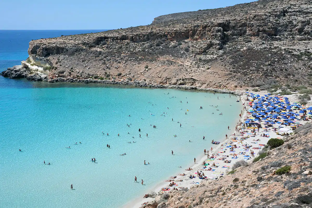 La spiaggia dei conigli a Lampedusa Anche la Sicilia avvia la campagna di vaccinazione delle piccole isole