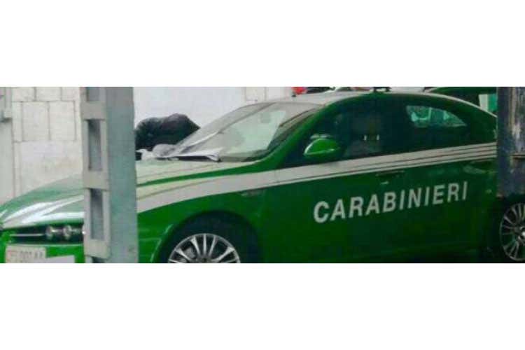 (Sicurezza alimentare, denunce e sequestri Controlli maggiori per le festività) (Sicurezza alimentare, denunce e sequestri Controlli maggiori per le festività)