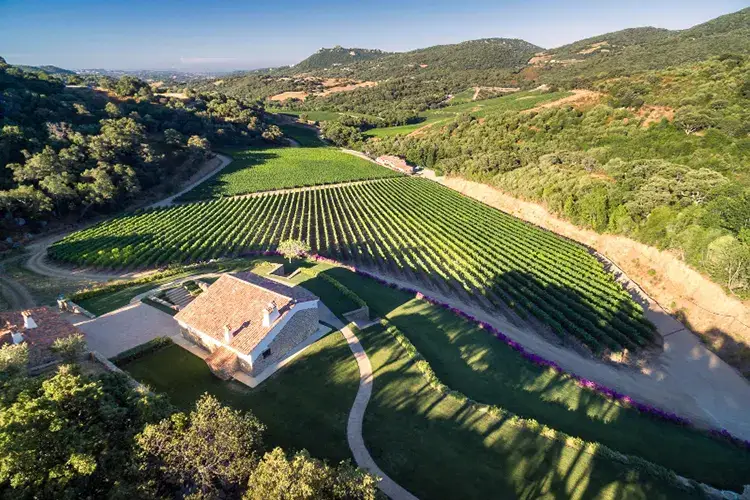 Ci si aspetta una vendemmia di altissima qualit&agrave;