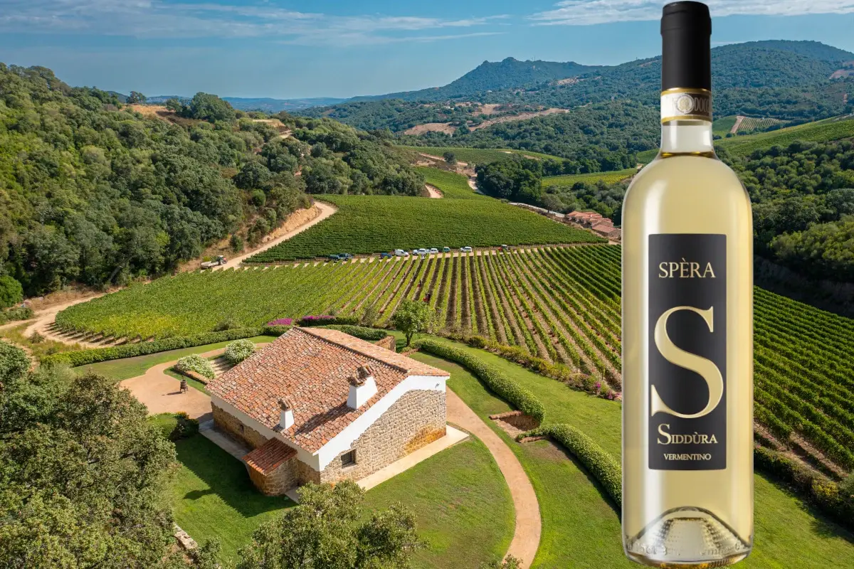 Il Vermentino di Gallura Sp&egrave;ra 2021 di Sidd&ugrave;ra&nbsp; Sp&egrave;ra di Sidd&ugrave;ra premiata dalla guida Berebene del Gambero Rosso