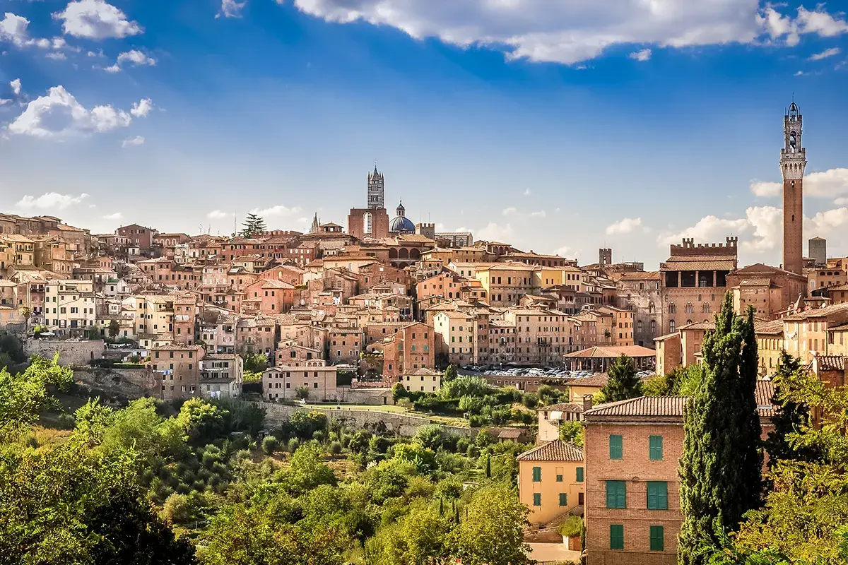 Il profilo di Siena Le vigne urbane si incontrano a Siena per rilanciare il vino di citt&agrave;