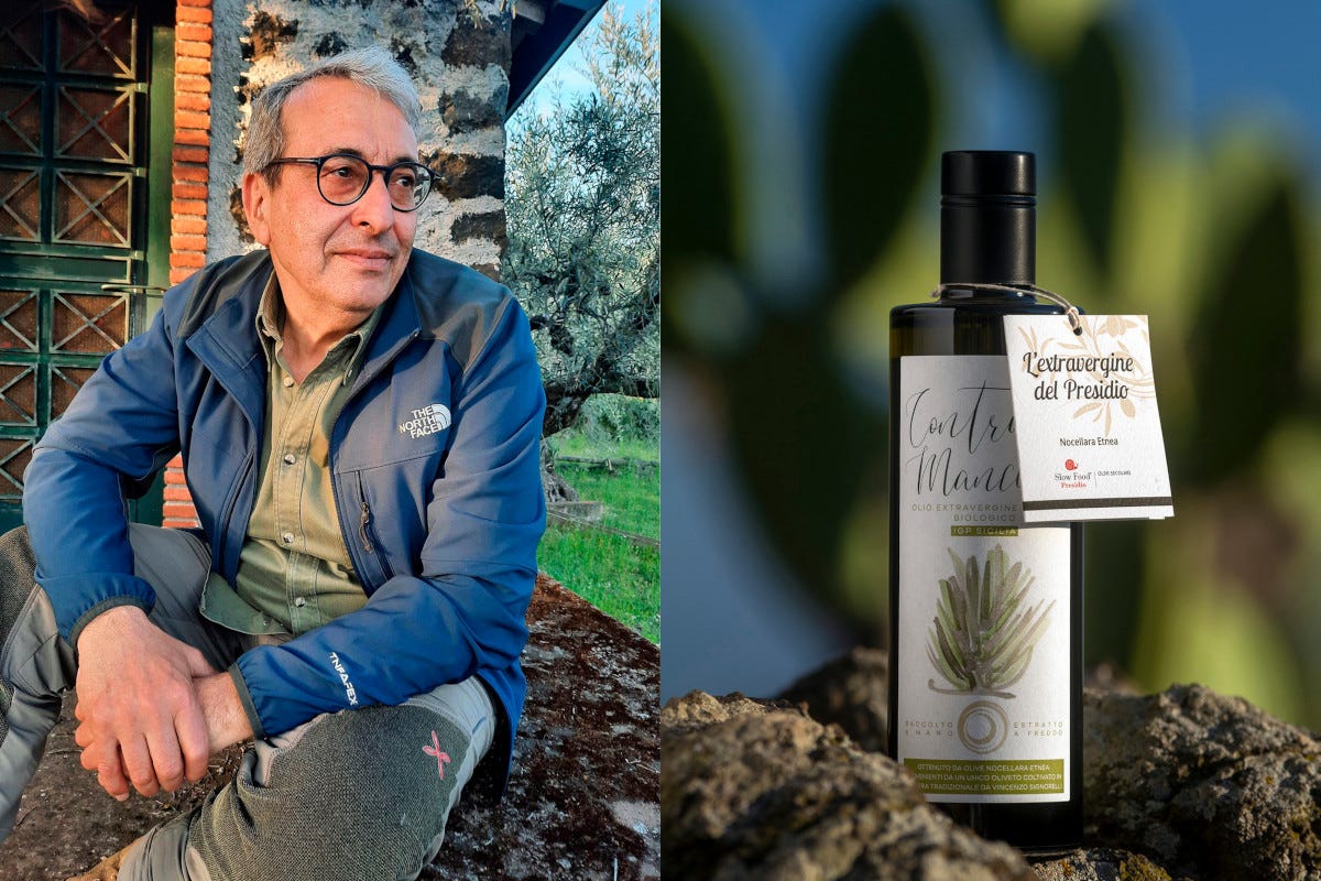 Vincenzo Signorelli, olivicoltore Gli oli dell'Etna di Vincenzo Signorelli erano un hobby adesso sono storia