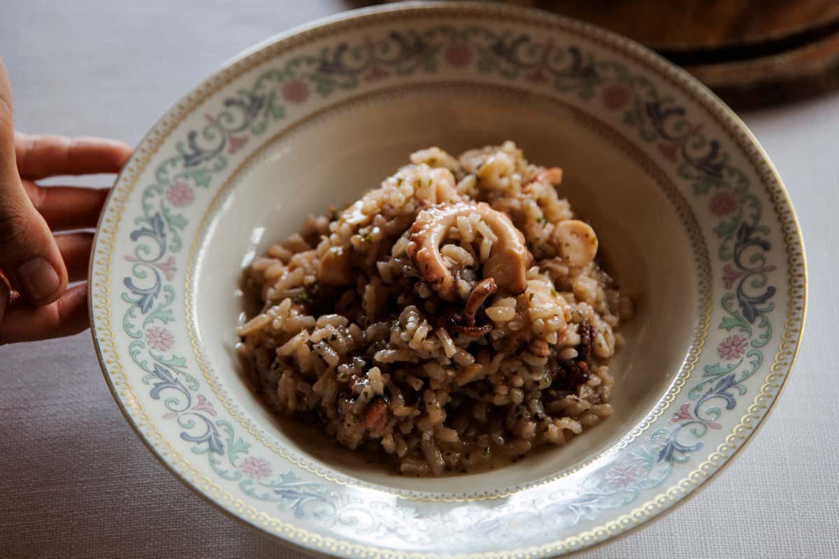 Risotto 1960 al polpo e alle erbe di nonna Maria, di Diego Pani