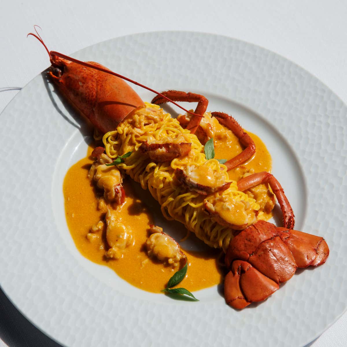 La fricassea d’astice con i tagliolini freschi al basilico di Diego Pani