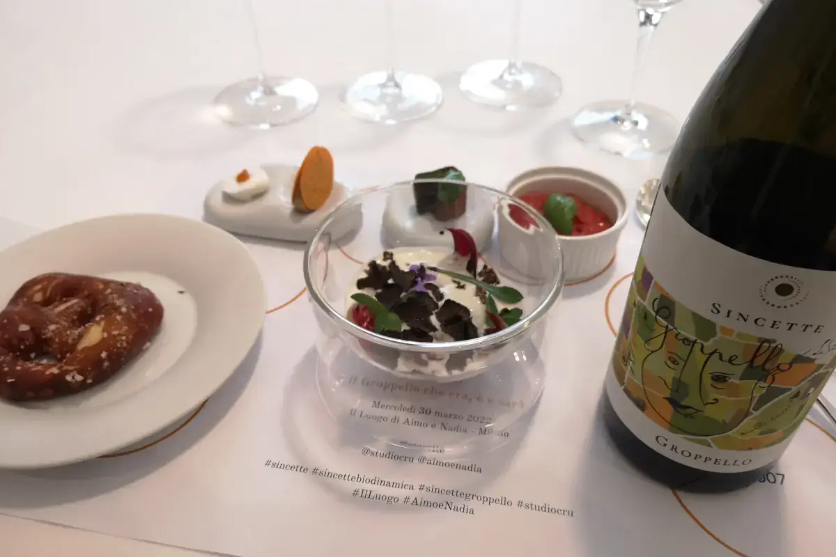 Sincette 2020 Groppello, il vino che non rispetti e che Sincette sa fare invecchiare alla grande