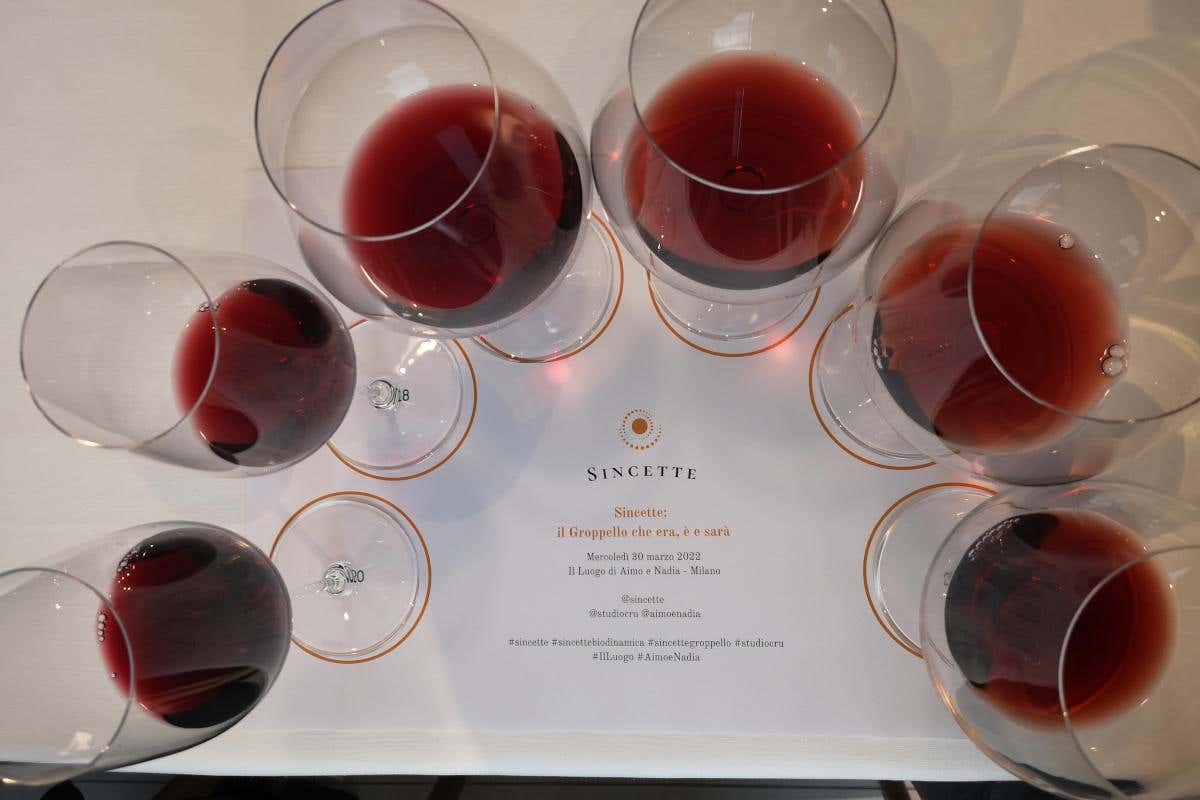 Le 7 annate della verticale di Sincette degustate da Aimo e Nadia Groppello, il vino che non rispetti e che Sincette sa fare invecchiare alla grande