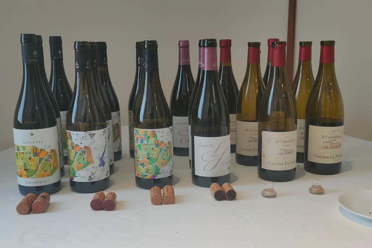 I vini degustati in abbinamento ai piatti di Fabio Pisani (Aimo e Nadia)  Groppello, il vino che non rispetti e che Sincette sa fare invecchiare alla grande