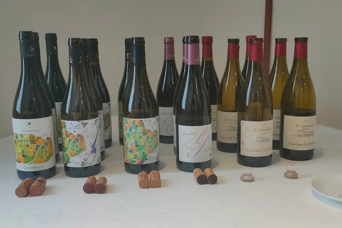 I vini degustati in abbinamento ai piatti di Fabio Pisani (Aimo e Nadia)  Groppello, il vino che non rispetti e che Sincette sa fare invecchiare alla grande