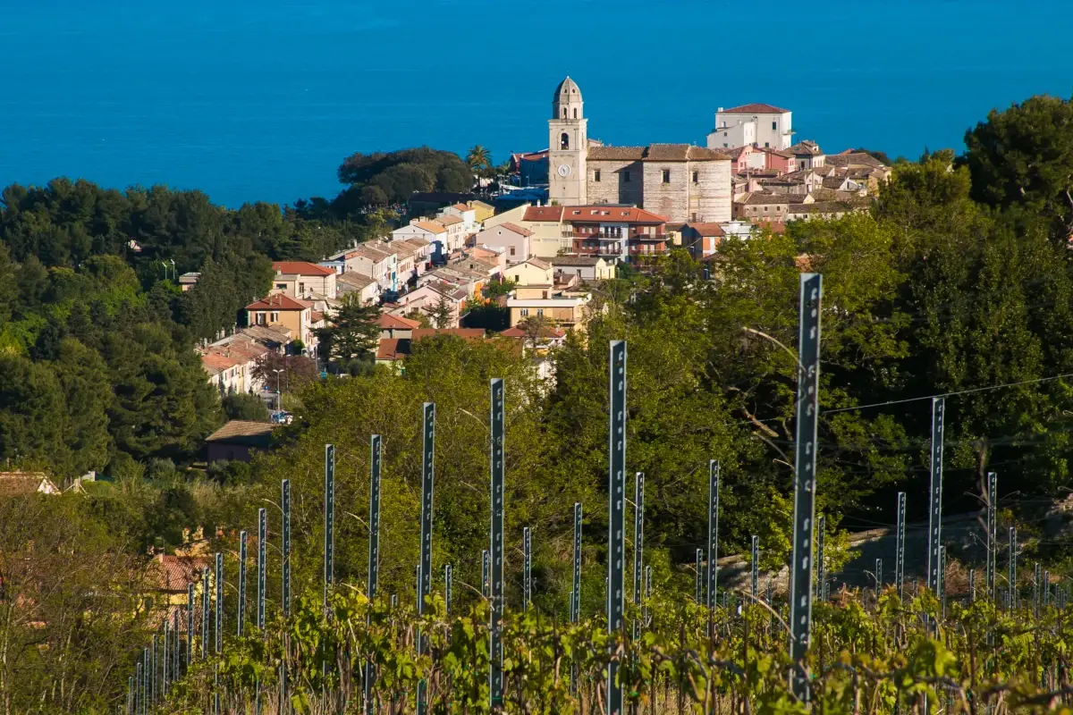 Conero, in festa per il suo vino Rosso