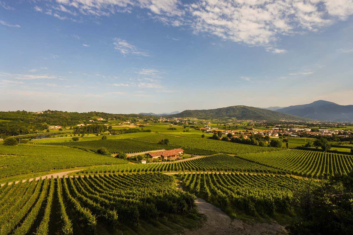 Addio a Paolo Radici, un'icona dell'industria italiana e del vino