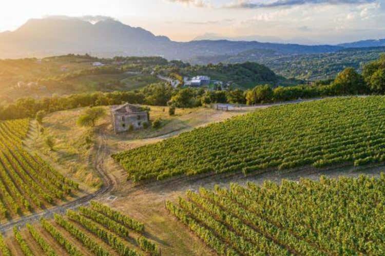 Feudi di San Gregorio si &egrave; posizionato all'80&deg; posto La migliore cantina al mondo &egrave; spagnola. Sei le italiane nella top 100