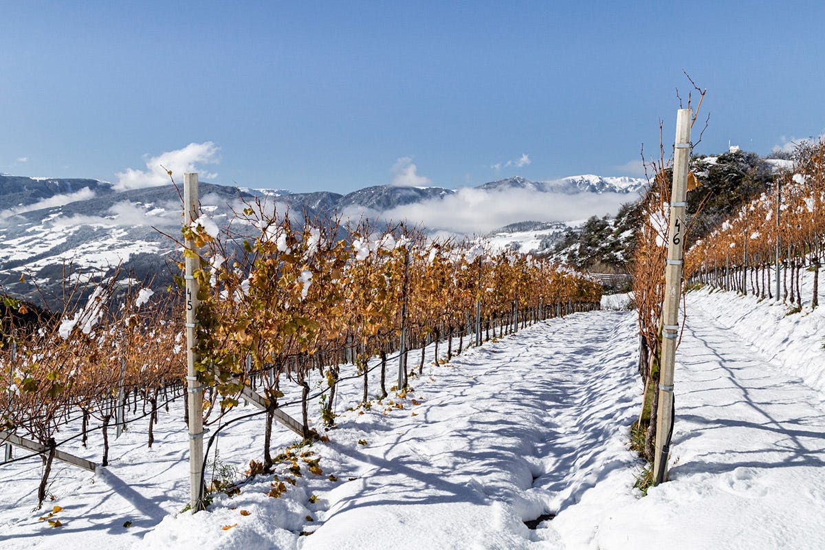 Vigneti innevati in Alto Adige Ski Wine Ambassador: i vini dell’Alto Adige sulle piste dell’Alta Badia