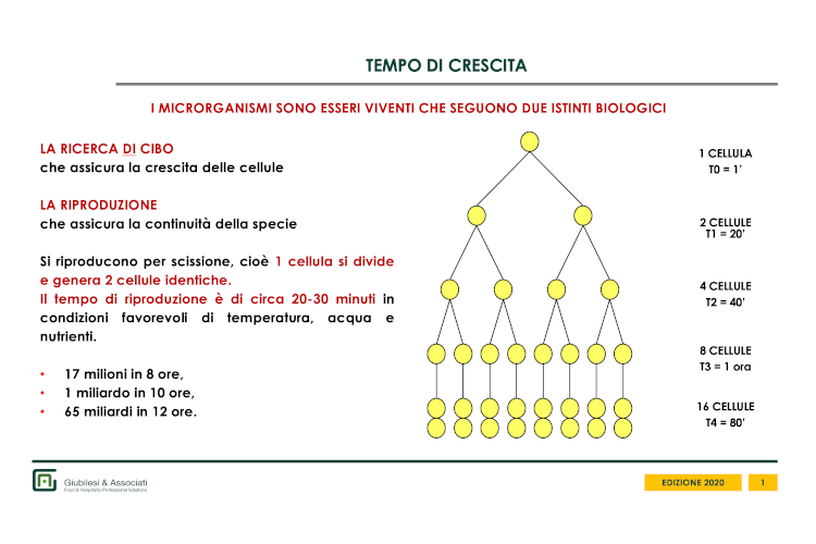 Conservazione dei cibi: Il freddo è il piu grande alleato