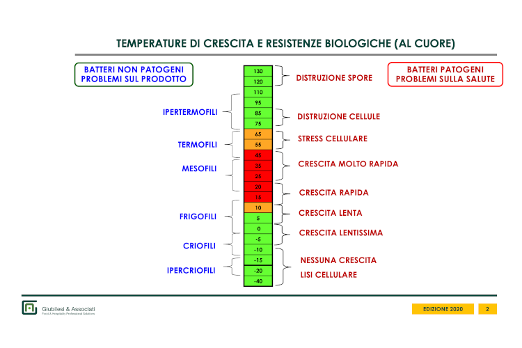 Conservazione dei cibi: Il freddo è il piu grande alleato